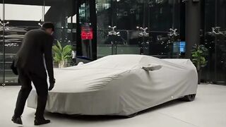 ASMR sounds of the Ford GT Carbon Series car experience