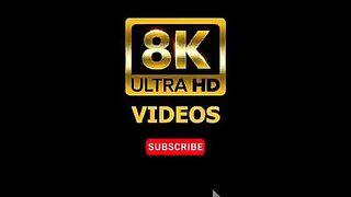 SMALL BIRDS 8K ULTRA HD with NamesandSounds(240p).mp4