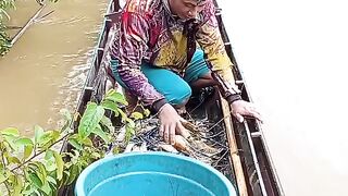 Panen udang galah