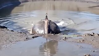 Helicopter Rescue - Saving a Stuck Elephant from Muddy Trap