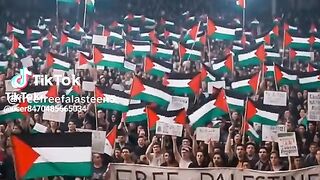 الحريه لفلسطين