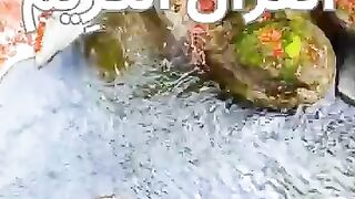 Quar1