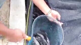 3X sehari ngaasih makanBerikut WAKTU yang tepat