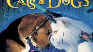 Cats and Dogs (2001) Hindi Dubbed Full Movie