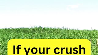 Crush Fact 7