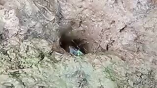 Fishing eel get snake part 24