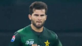 Pak vs UAE 2nd inning highlights