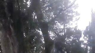 Mysteri