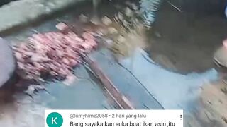 PAKAN ALTERNATIFPakan sekaligus RACUN bagi ikan lele
