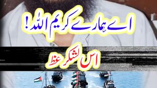 Global Sumud Flotela New Video