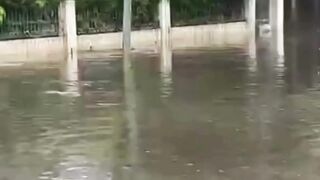 Jakarta Dilanda Banjir!