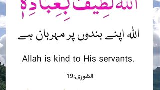 Quran Quotes 2