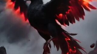 Born From Chaos, Forged by Power