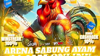 DAFTAR BOSPLAY AGEN SABUNG AYAM ONLINE TERBESAR RESMI AMAN DAN TERPERCAYA