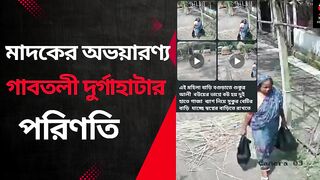 পরশসন নরব, মদকর অভযরণয অবযহত  গবতলর দরগহটর করণ বসতবত