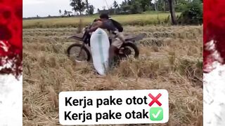 kerja cerdas
