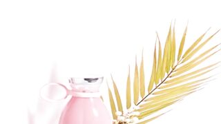 USB Rechargeable Juicer  The Best Personal Blender for Smoothies