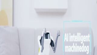 Programmable Robot Dog   Very Low Price