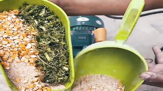 Behind the Scenes How High-Quality Feed Pellets Are Made!