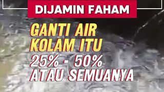 Ganti air kolam itu setengah atau semuanya
