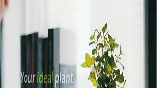 Top 5 Reasons the Tuya Ivy Smart Planter is a Must-Have for Plant Lovers!