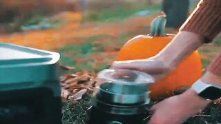 Essential Camping Products That Work Seamlessly with the ECOFlow Delta 2!
