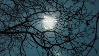 Quran suroh Yasin
