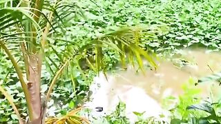 Vợ Hong cho đi nhậu