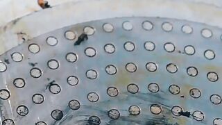Can It Clean the Impossible? Testing the Rust  Limescale Eraser on Tough Stains