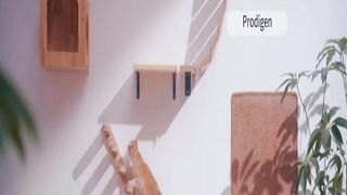 Best Cat Towers Amazon vs AliExpress