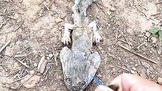 Nature Love