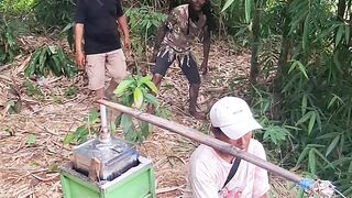 Primitive people are invited to buy snacks