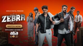 Zebra (2024) Hindi Dubbed