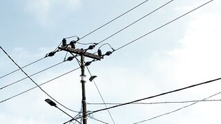squirrel jumps on the power pole, what will happen?