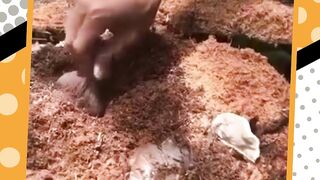 Woii biji siapa tu