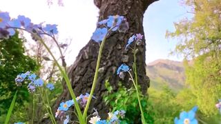 Beautiful nature
