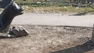 Kereta Api melaju dengan cepat