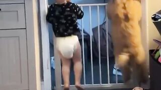 Baby  Dog Best Friends   Cutest Friendship Ever!
