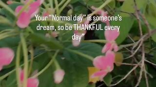 Be thankful every day