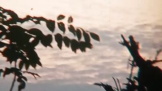 Dikala senja