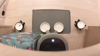 PetSafe Smart Feed Automatic Dog and Cat Feeder - Smartphone - Wi-Fi Enabled for iPhone and Android Smartphones