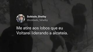 Motivaçaodiaria