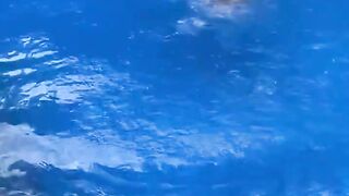 Watch Till End Funny Animal