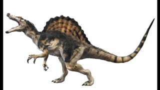 The Spinosaurus