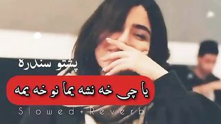 Pashtu New Songs