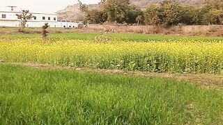 Kotli saraawa
