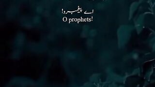 Quran verses beautiful Recitation