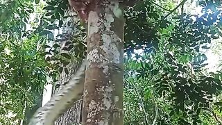 Amazing ????