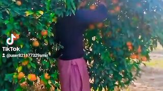 Orange video