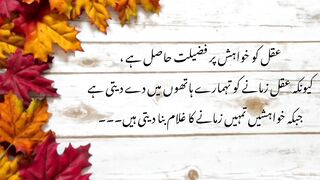 Rumi quotes in Urdu